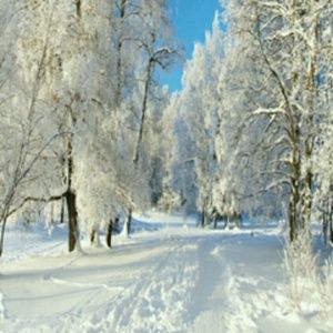 Meet your Posher, Wilson